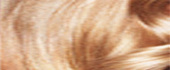 8.0 Bright Light Blond