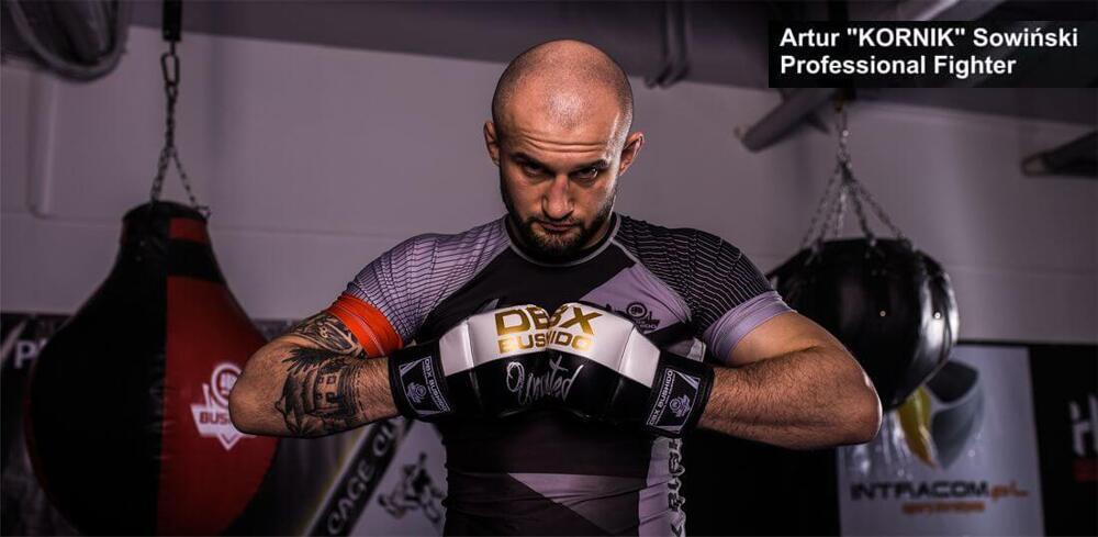 MMA gloves - artur bark beetle