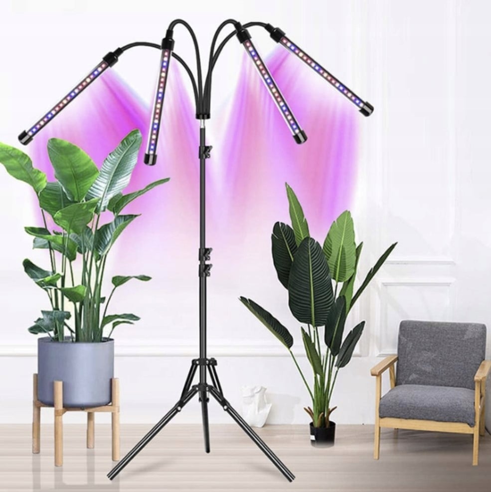 4 x Plant Growth Lamp 80 LED Timer + Remote Control GROW apgaismojuma veids