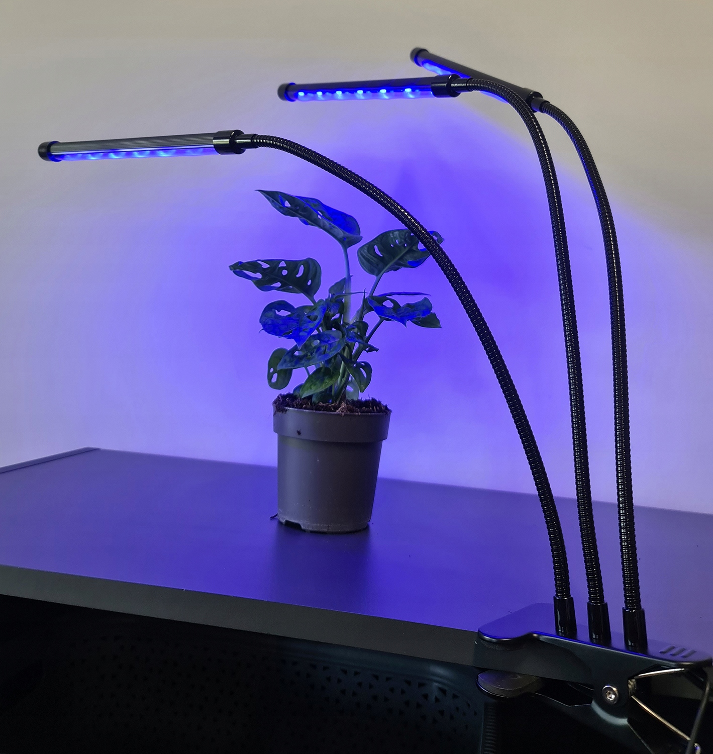 3 x Plant Grow Lamp 60 LED taimeris + tālvadības pults garums 68 cm