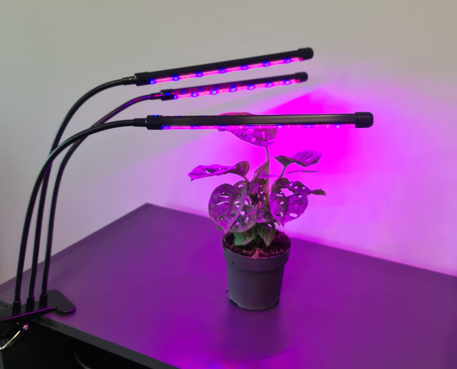 3 x lampa augu augšanai 60 LED taimeris + tālvadības pults Apgaismojuma LED paneļa veids