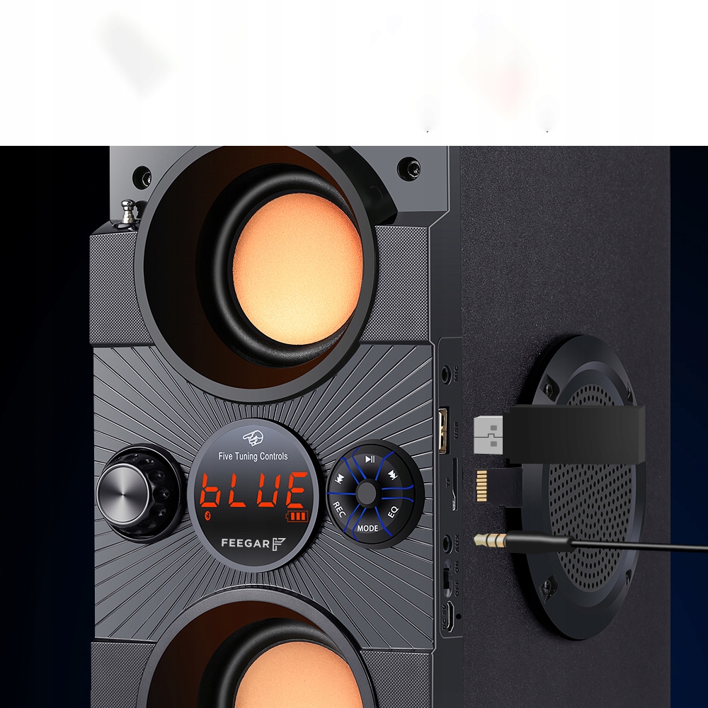 Bluetooth skaļrunis Feegar 4000mah radio USB SD AUX funkcijas Karaoke funkcija Audio failu atskaņošana FM radio vadība caur viedtālruni
