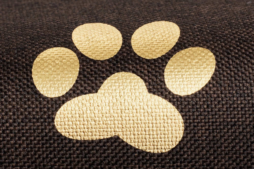 ŪDENSIZTURĪGS matracis FOAM suņu gulta 70x50 Taisnstūra forma