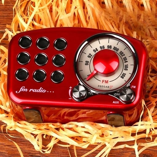 Feegar Retro Bluetooth virtuves radio portatīvais FM modelis Retro