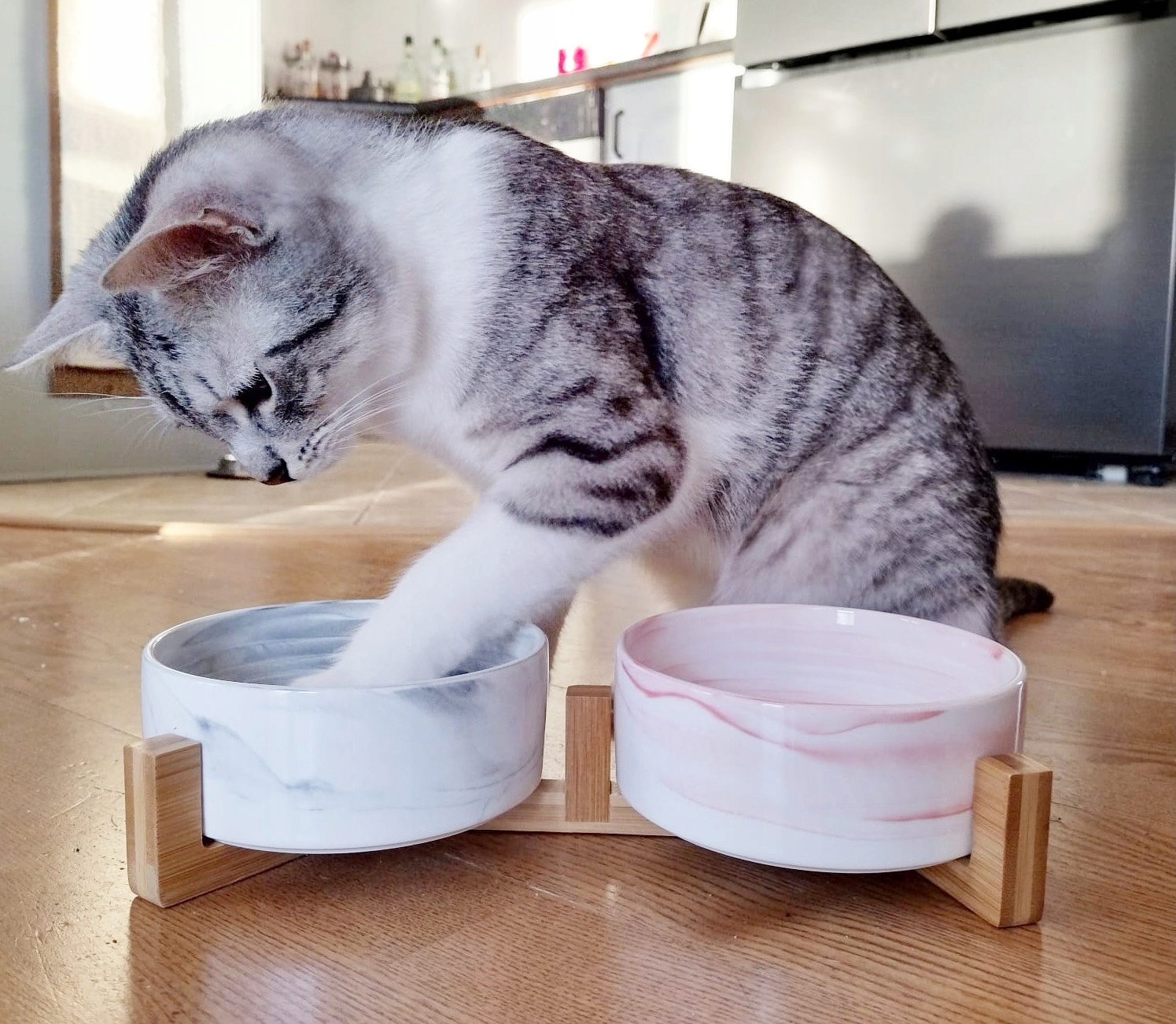 Dubultā keramikas bļoda suņiem/kaķiem uz statīva Keramikas bļodas materiāls