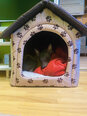 Gultiņa-būda Hobbydog R3 pēdiņas, 52x46x53 cm, smilšu krāsa
