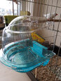 Savic бассейн для птиц Splash, 14x15x16 см