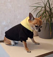 Džemperis ar kapuci, melns internetā