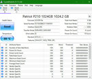 SSD|PATRIOT|P210|1TB|SATA 3.0|Rakstīšanas ātrums 430 MB/sec|Lasīšanas ātrums 520 MB/sec|2,5"|TBW 480 TB|P210S1TB25 cena