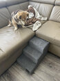 Hobbydog kāpnes Savoy 3, tumši pelēkas, 50x30x30 cm