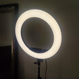 Gredzenveida LED lampa HQ-18N 45cm