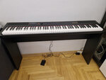 Цифровое пианино Artesia Performer, 88 клавиш