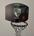 Мини баскетбольная доска с мячом Spalding Žalgiris