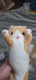 Plīša rotaļlietu kaķis Airi, brūns, 50 cm