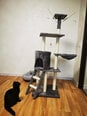 Kaķu māja Fortas Grey, 138 cm internetā