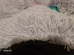 Suņu vai kaķu gulta Springos PA0124 70 cm
