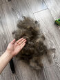 Furminators Undercoat deShedding garspalvainiem kaķiem, M/L