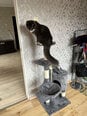 Домик когтеточка Alba Grey, 118 см интернет-магазин