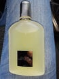 Tom Ford Grey Vetiver EDP vīriešiem 100 ml internetā