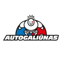 Autogaliūnas