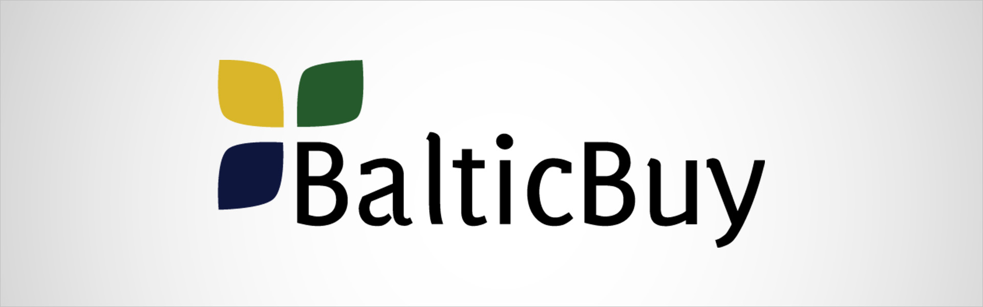 Серьги Balticbuy