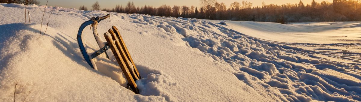 санки в снежных сугробах около леса